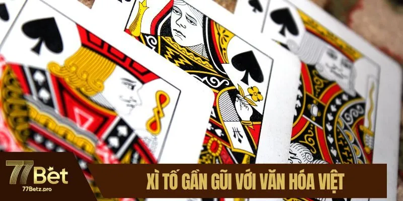 X&igrave; tố gần gũi với văn h&oacute;a Việt